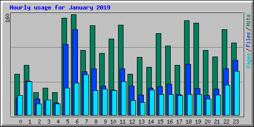 Hourly usage for January 2019